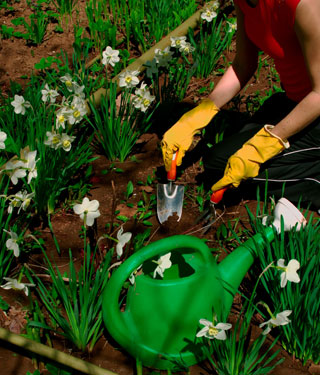 gardening