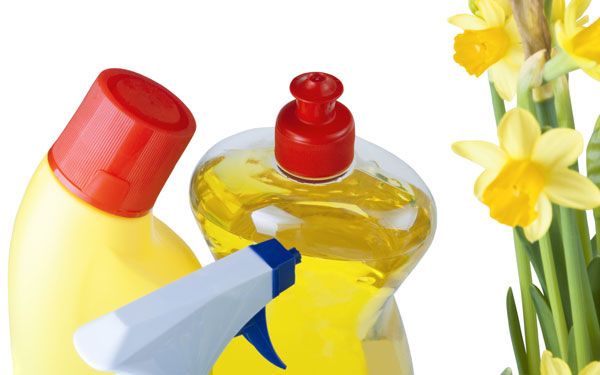 spring cleaning supplies