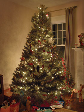 Christmas tree Christmas tree