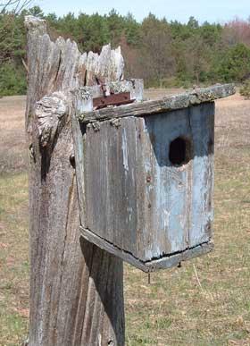 bluebird house