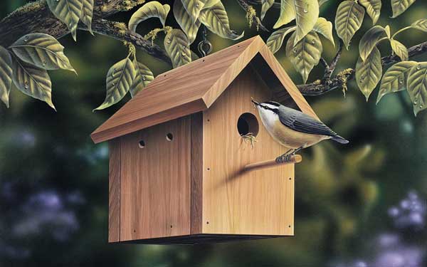 chickadee and birdhouse